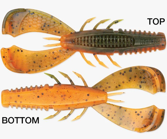 CLEANUP CRAW - Image 4
