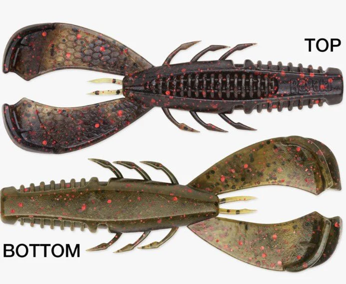 CLEANUP CRAW - Image 8