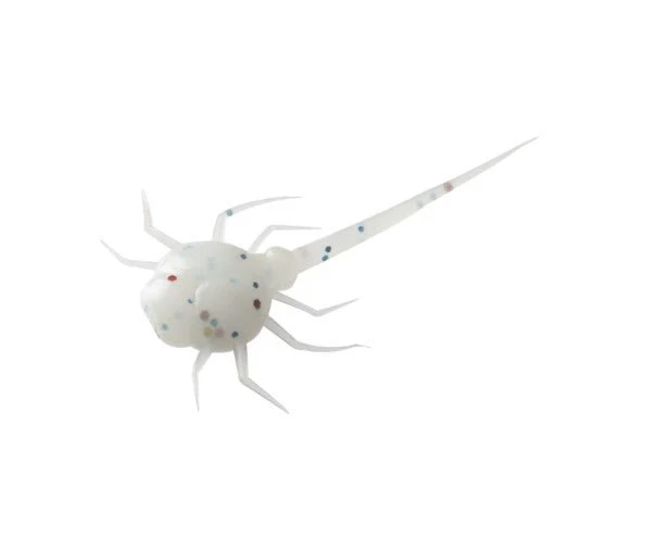 COCCONUT CRAB - Image 6