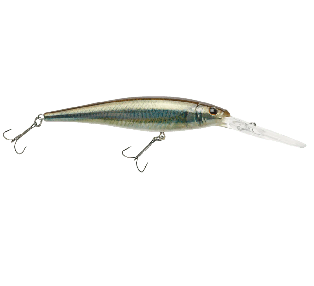 FLICKER MINNOW - Image 21