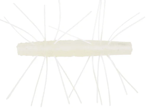 FUZZY TRD - Image 3