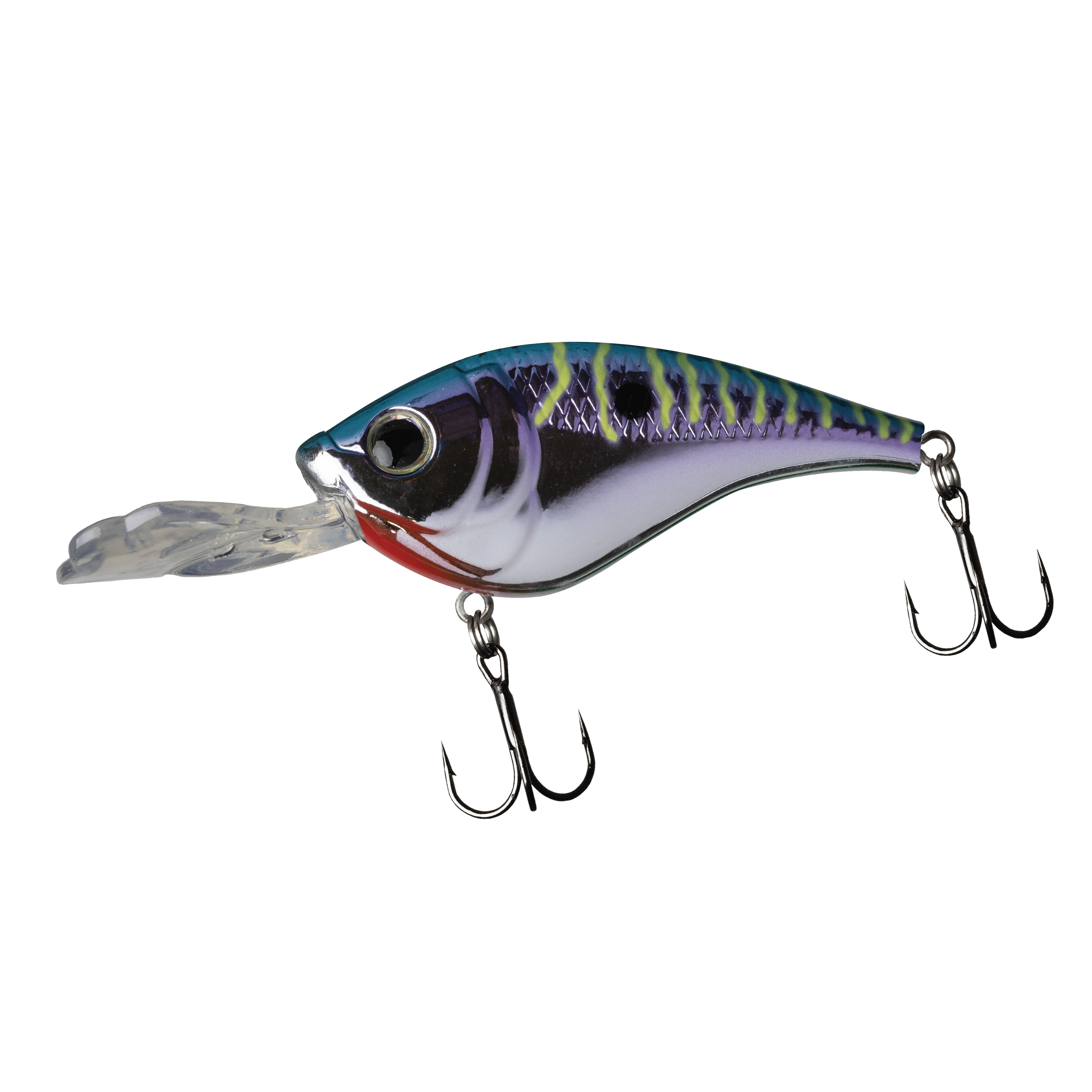 PREDATOR - Image 10
