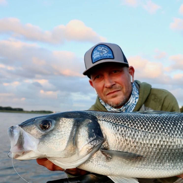 RAYFIN CASTING