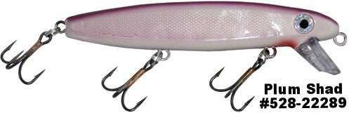 SHALLOW RAIDER - Image 11