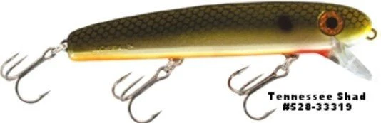 SHALLOW RAIDER - Image 19