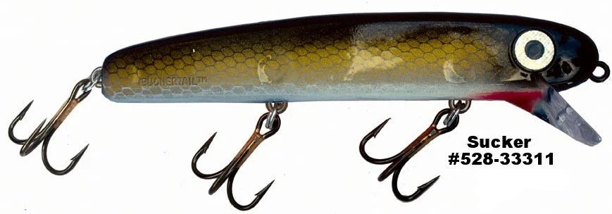 SHALLOW RAIDER - Image 23