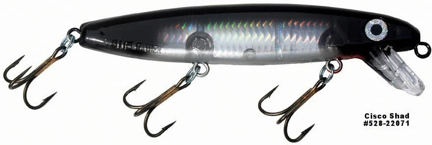 SHALLOW RAIDER - Image 26